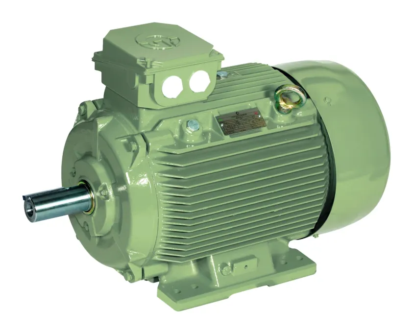 Crusher application motors