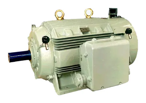 NEMA premium efficiency motors