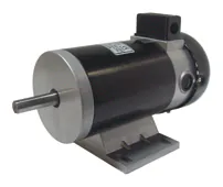 D118 Series Industrial Grade PMDC Motors / Geared Motors