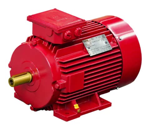IE2 High Efficiency Standard Motors