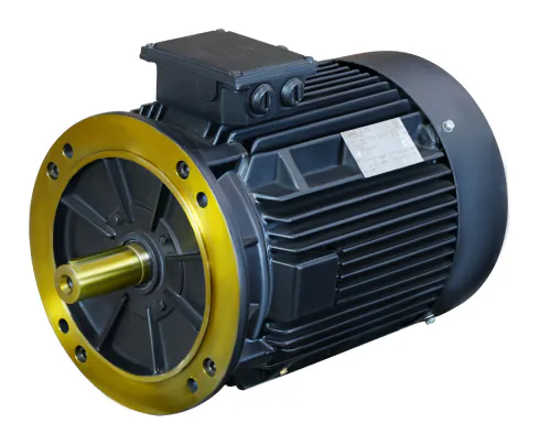 IE3 Premium Efficiency Standard Motors